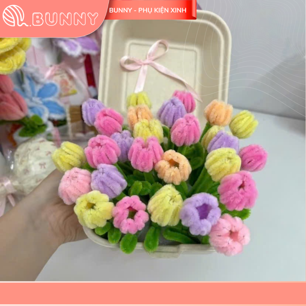 Hoa tulip đa sắc màu